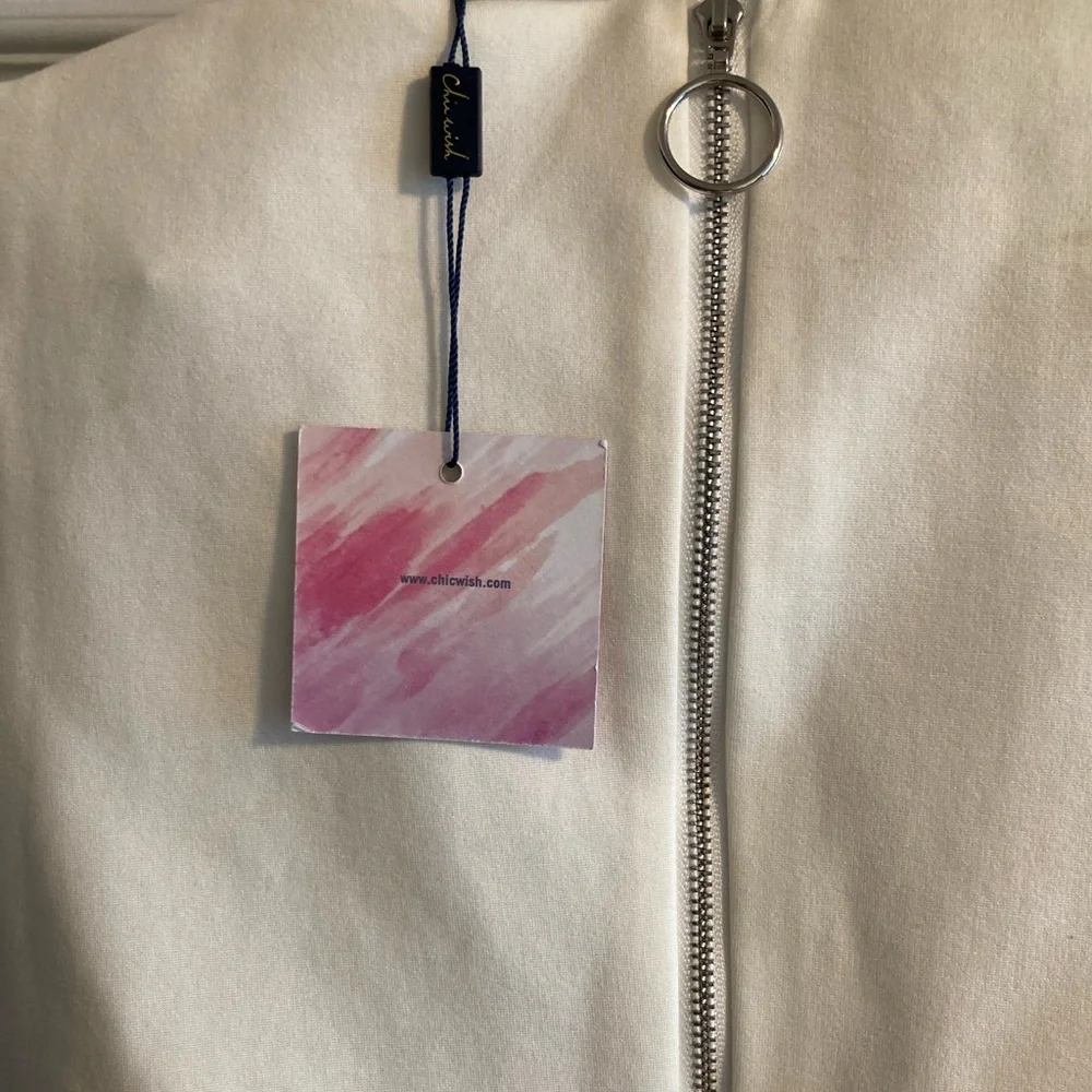 CHICWISH NWT Crop Top - Bowknot - Picture 5 of 10